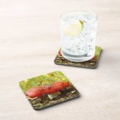 ラスルエメティカ懸命プラスチックばいせん コースター (右側)