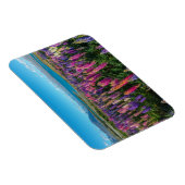 ラスルルピネアットレイクテカポ |ニュージーランド マグネット (右側)