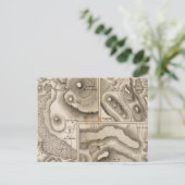 ラス火山 ポストカード (スタンド正面)