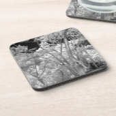 ラス2の木々の建物と小道の赤外線 コースター (左側)