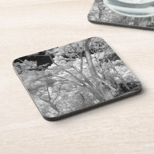 ラス2の木々の建物と小道の赤外線 コースター (左側)