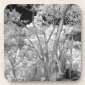 ラス2の木々の建物と小道の赤外線 コースター (正面)