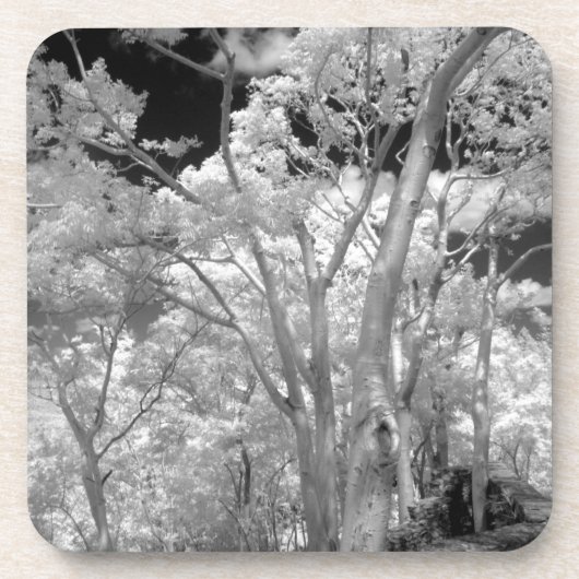 ラス2の木々の建物と小道の赤外線 コースター (正面)