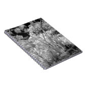 ラス2の木々の建物と小道の赤外線 ノートブック (右側)