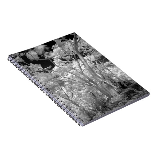 ラス2の木々の建物と小道の赤外線 ノートブック (右側)