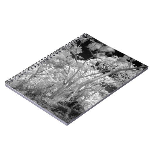 ラス2の木々の建物と小道の赤外線 ノートブック (左側)