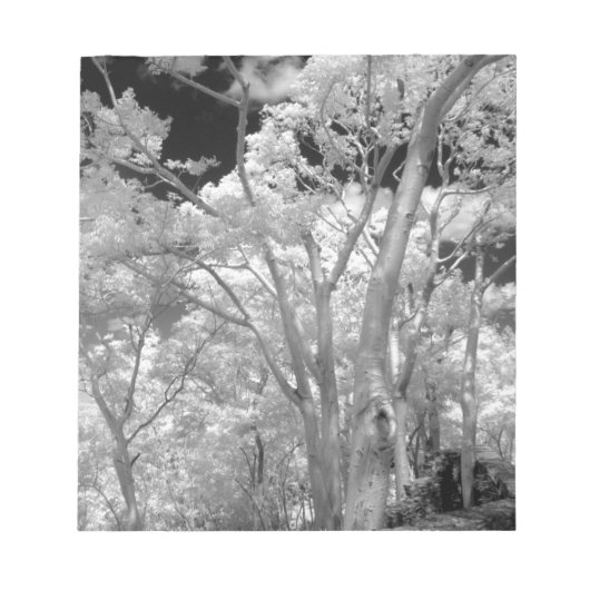 ラス2の木々の赤の建物とトレイル ノートパッド (正面)