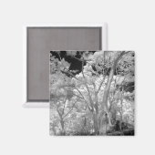 ラス2の木々の赤の建物とトレイル マグネット (正面/裏面)