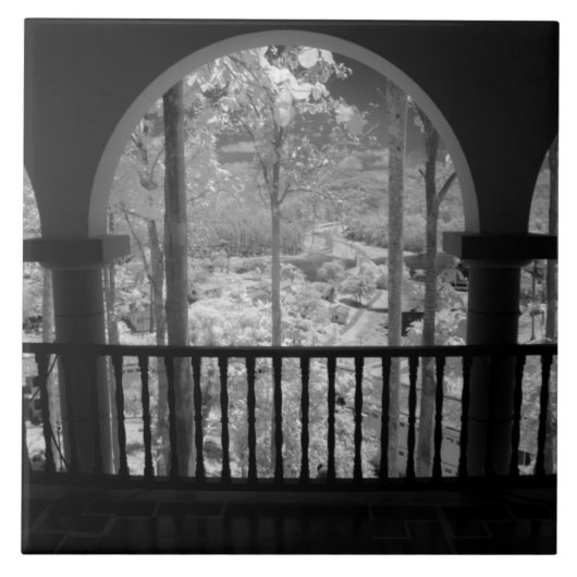 ラス3の木々、建物、トレイルの赤外線 タイル (正面)