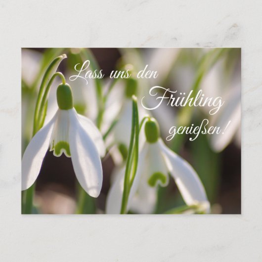 ラス・ウンズ・デン・フリューリング・ジェンシーセン! ポストカード (正面)