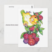 ラズベリーのカイケ ポストカード (正面/裏面)