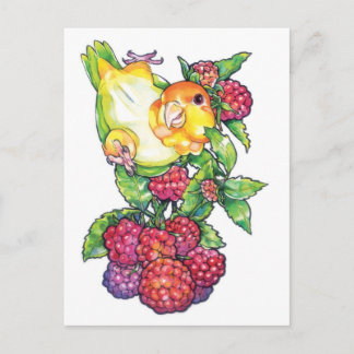 ラズベリーのカイケ ポストカード