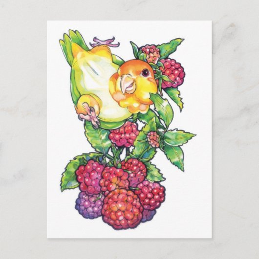 ラズベリーのカイケ ポストカード (正面)