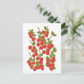 ラズベリーの実 ポストカード (スタンド正面)
