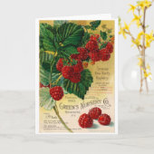 ラズベリーの植物のためのヴィンテージの広告、 カード (黄色い花)