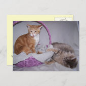 ラズベリーはがき ポストカード (正面/裏面)