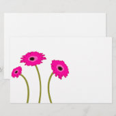 ラズベリーガーベラデイジー (正面/裏面)