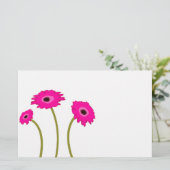 ラズベリーガーベラデイジー (スタンド正面)