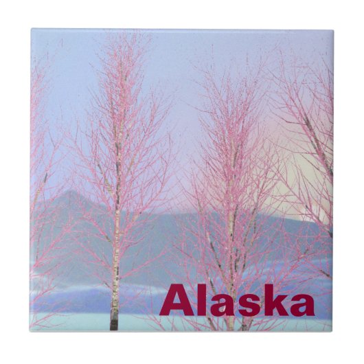 ラズベリークレメ樺の木 タイル (正面)