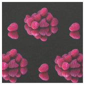 ラズベリースチルライフ ファブリック (クローズアップ)