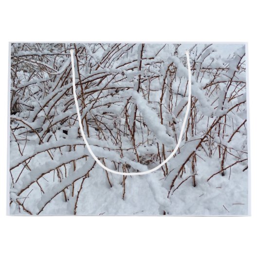 ラズベリーパッチの雪 – - ラージペーパーバッグ (正面)