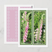 ラズベリーフォックスグローブブックマーク ポストカード (正面/裏面)