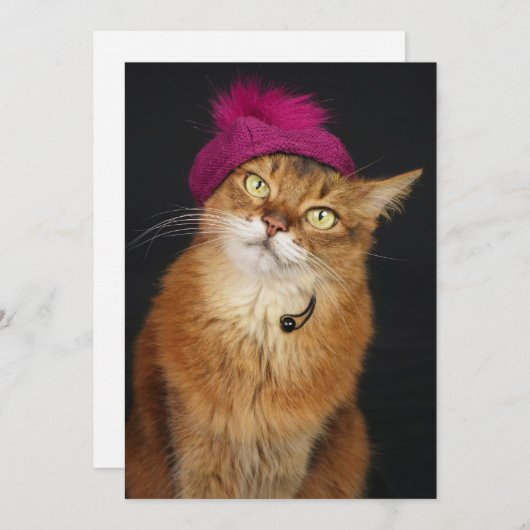 ラズベリーベレーを着たソマリアネコ シーズンカード (正面/裏面)