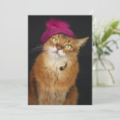 ラズベリーベレーを着たソマリアネコ シーズンカード (スタンド正面)