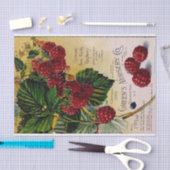 ラズベリーヴィンテージ子供部屋カタログ 薄葉紙 (クラフト)