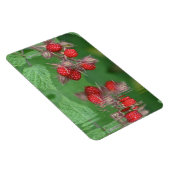 ラズベリー反射 マグネット (右側)