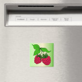 ラズベリー磁石 マグネット (インサイチュ (食洗機))