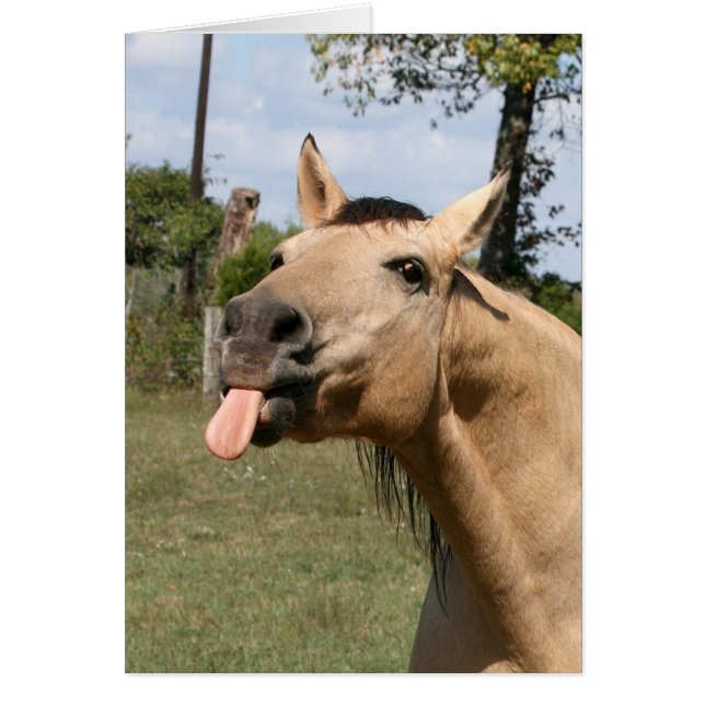 ラズベリー (正面)