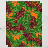 ラズベリー (正面/裏面)