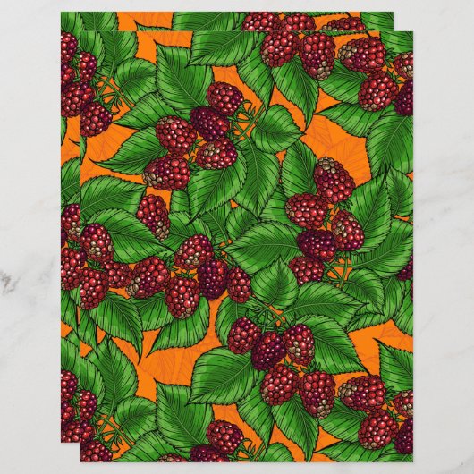 ラズベリー (正面/裏面)