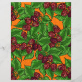 ラズベリー (正面)