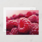 ラズベリー6 ポストカード (正面/裏面)