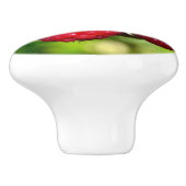 ラズベリー セラミックノブ (側面)