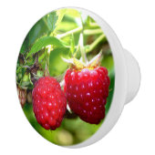 ラズベリー セラミックノブ (右)