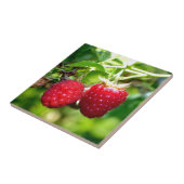 ラズベリー タイル (側面)