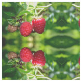 ラズベリー ファブリック (クローズアップ)