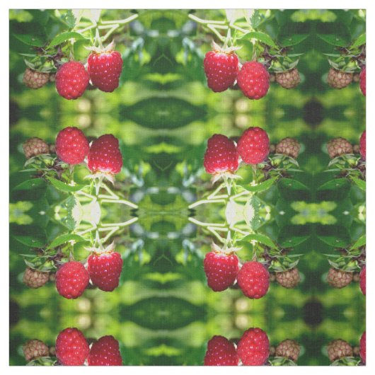 ラズベリー ファブリック (見本)