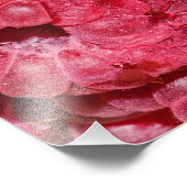 ラズベリー フォトプリント            (角)