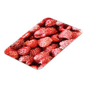 「ラズベリー・フルーツ」かわいい写真。買今 マグネット (左側)