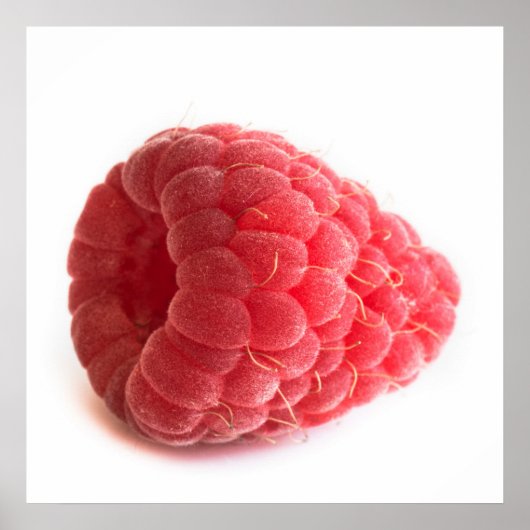 ラズベリー ポスター (正面)