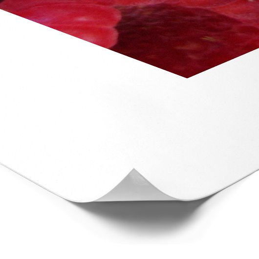 ラズベリー ポスター (角)