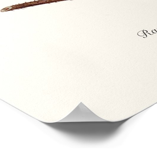 ラズベリー ポスター (角)