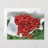 ラズベリー ポストカード (正面/裏面)