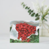 ラズベリー ポストカード (スタンド正面)