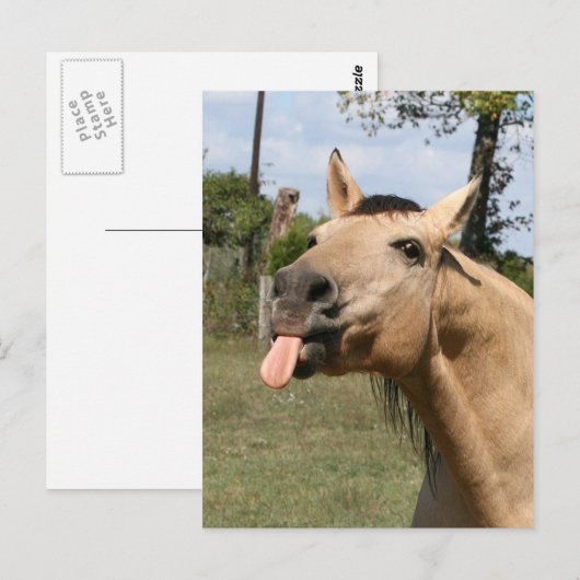 ラズベリー ポストカード (正面/裏面)