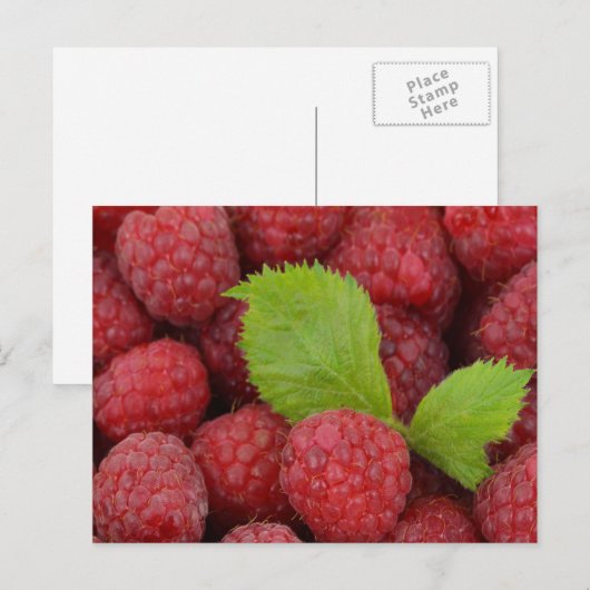 ラズベリー ポストカード (正面/裏面)